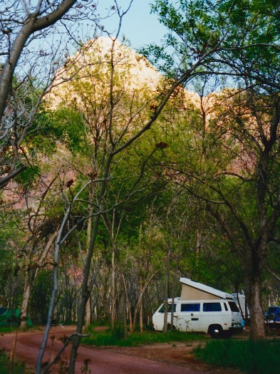 Met geleende Vanagon Westy in Yosemite National Park