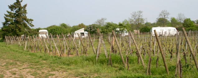 Domaine du Bollenberg in de Elzas - France Passion op z'n best